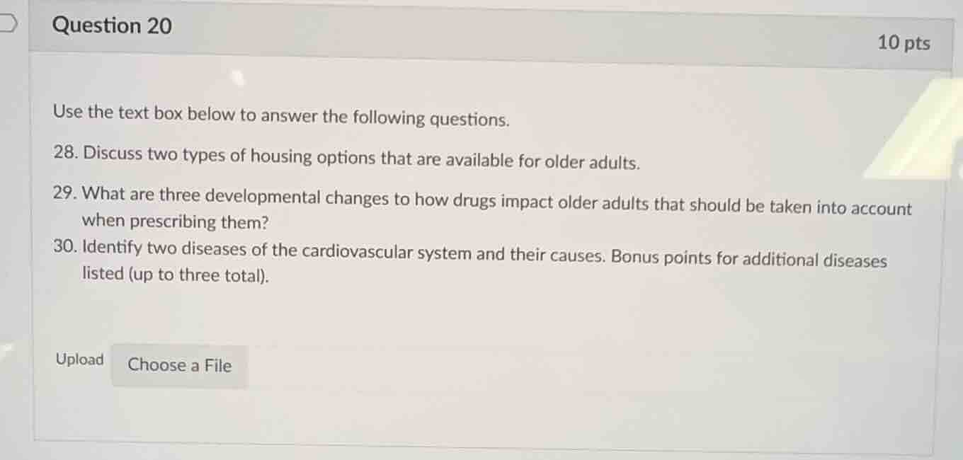 question 20 10 pts use the text box below to answer the following quest…