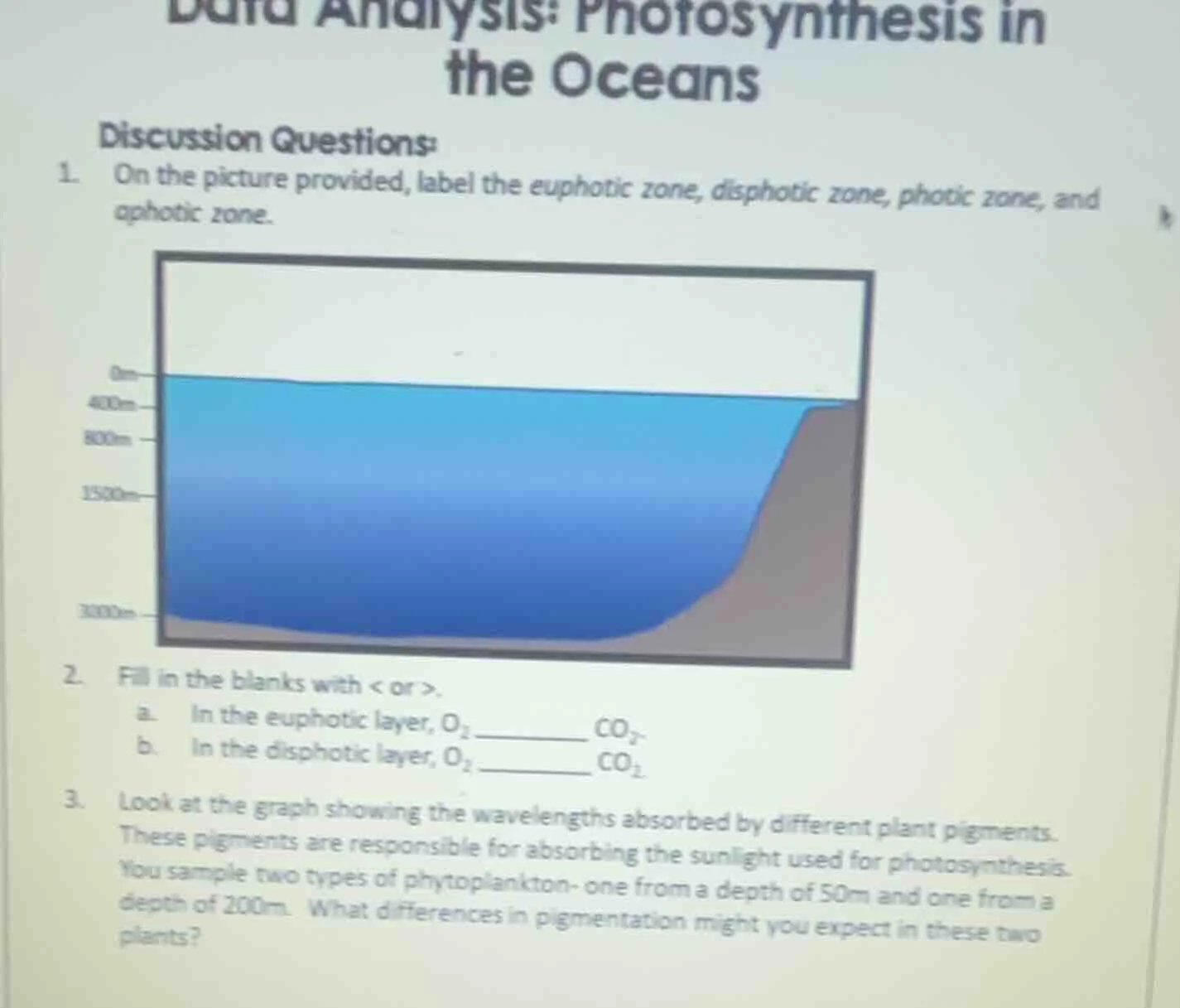 data analysis: photosynthesis in the oceans discussion questions: 1. on…