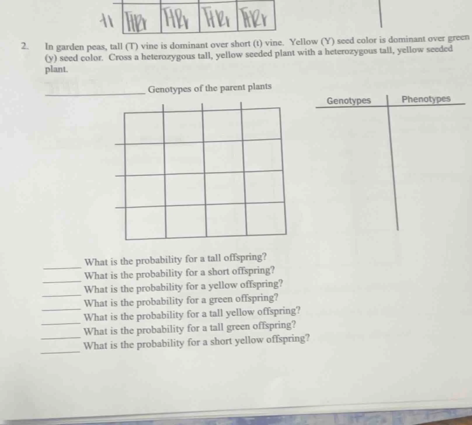 2. in garden peas, tall (t) vine is dominant over short (t) vine. yello…