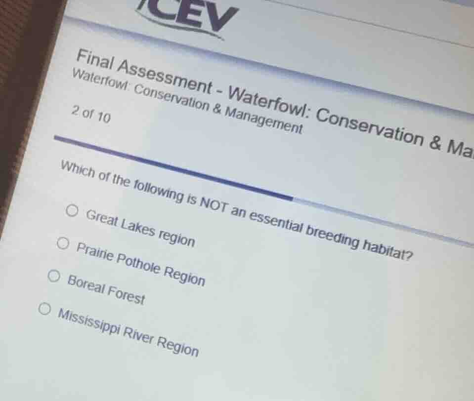 final assessment - waterfowl: conservation & mawaterfowl: conservation …