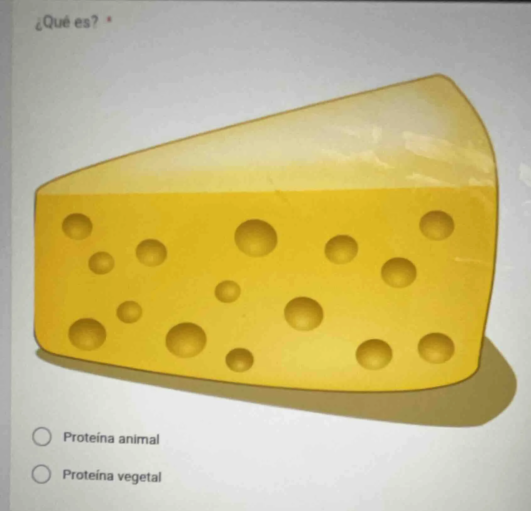 ¿qué es?proteína animalproteína vegetal