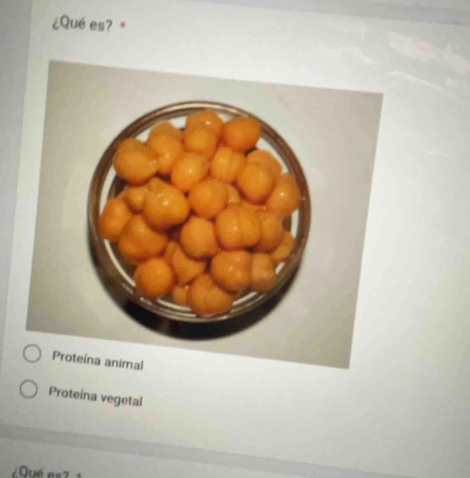 ¿qué es? * proteína animal proteína vegetal