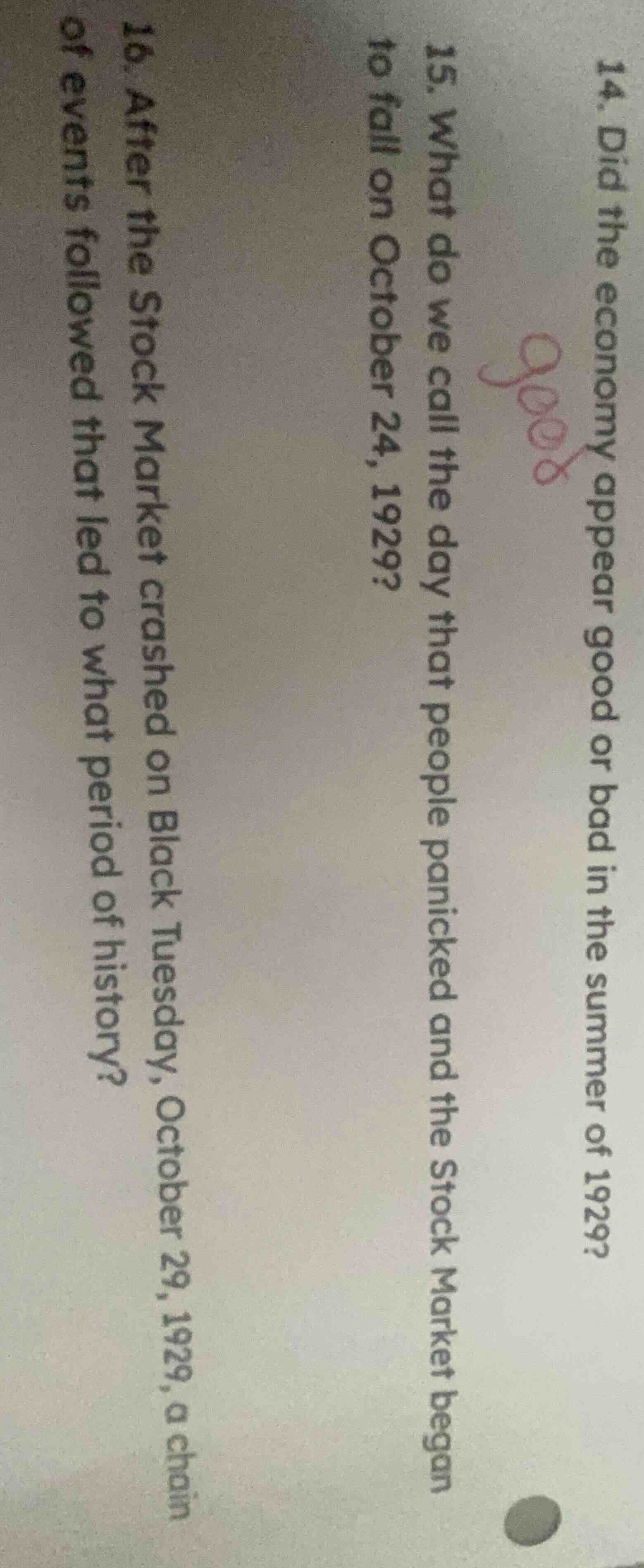 14. did the economy appear good or bad in the summer of 1929?15. what d…