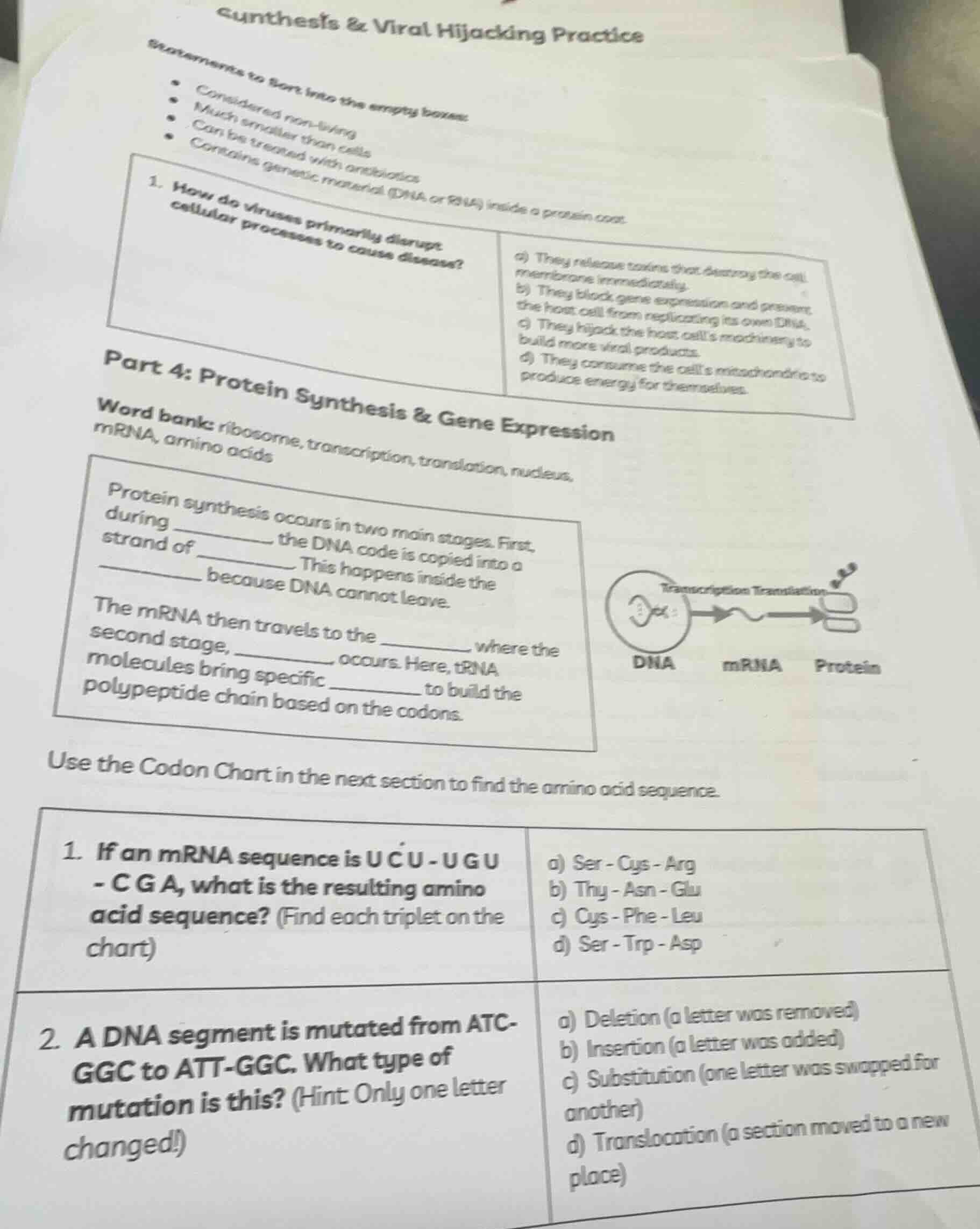 synthesis & viral hijacking practice statements to sort into the empty …