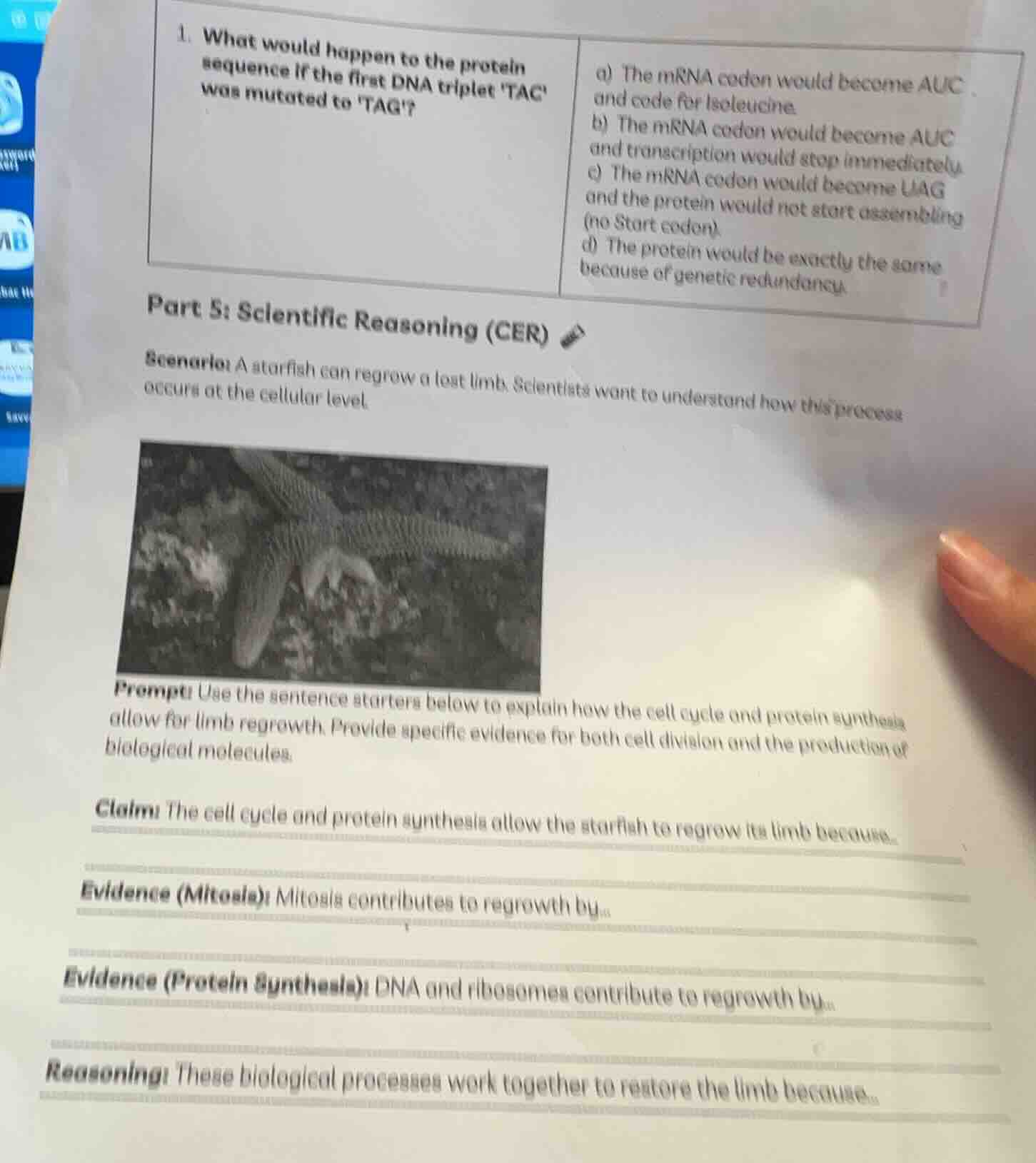 1. what would happen to the protein sequence if the first dna triplet t…
