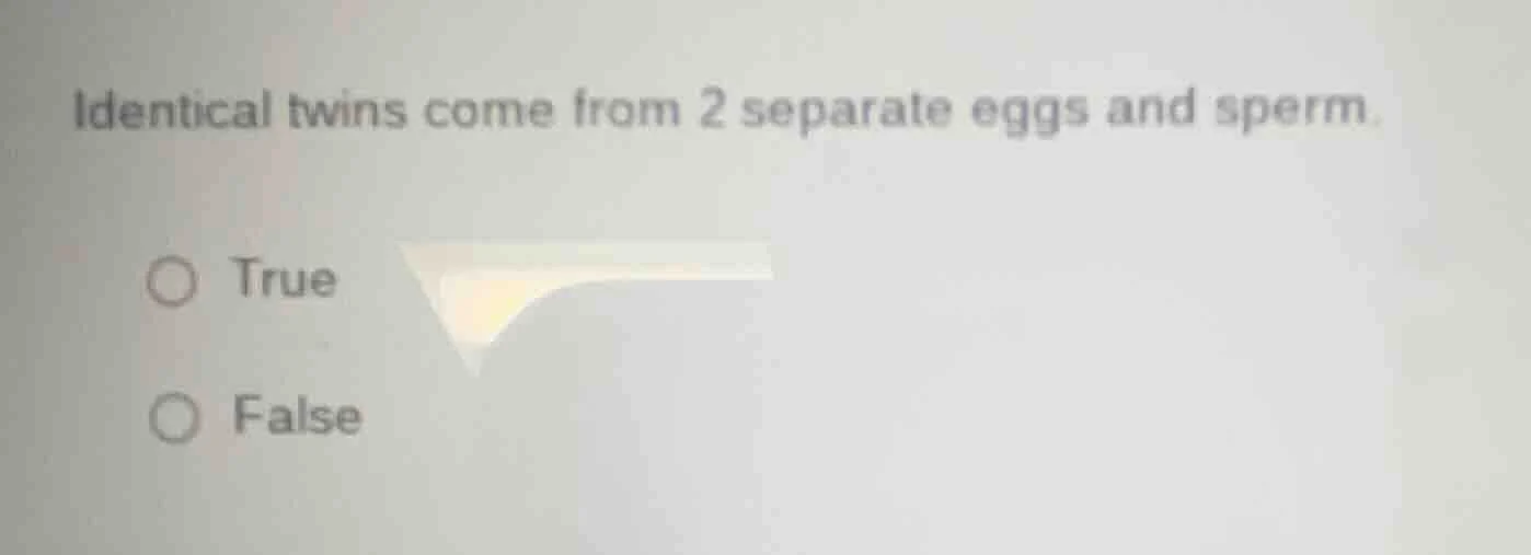 identical twins come from 2 separate eggs and sperm. true false
