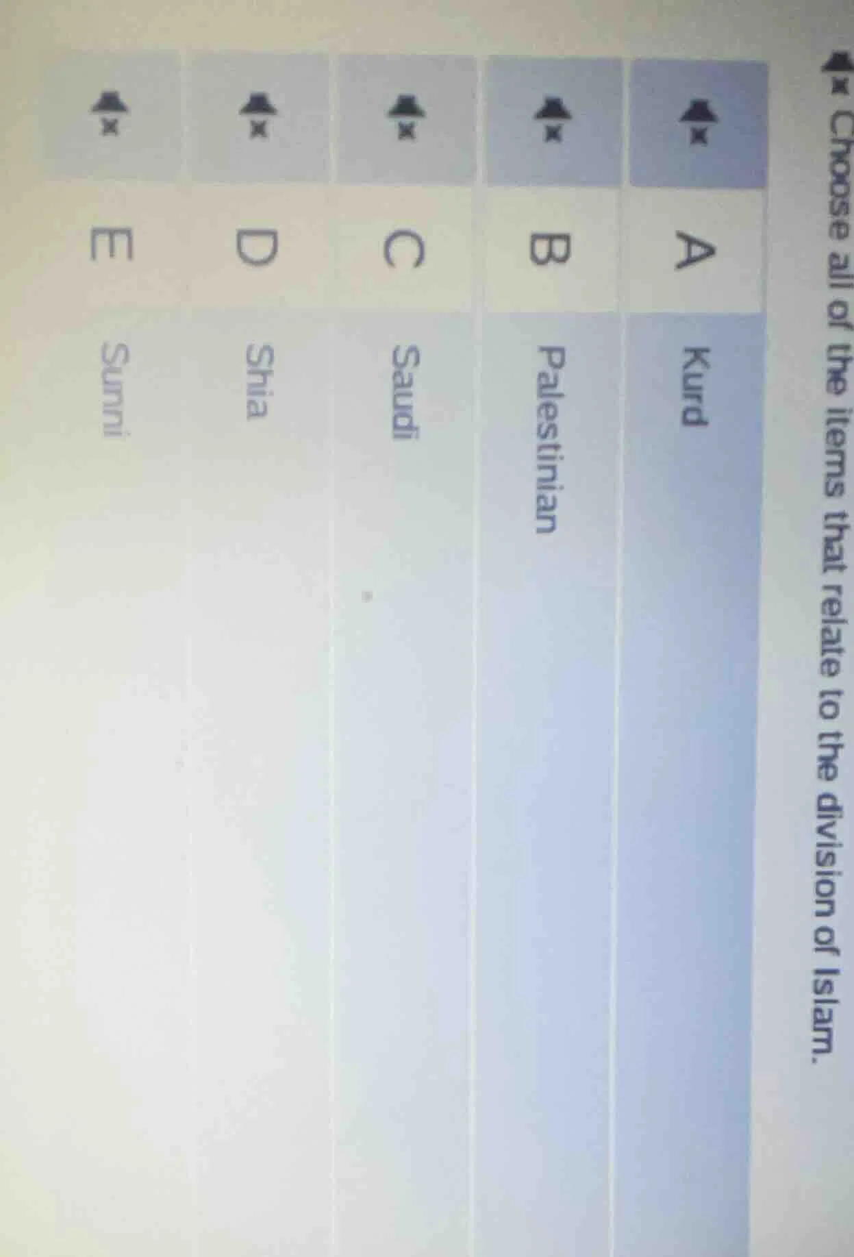 choose all of the items that relate to the division of islam. a kurd b …