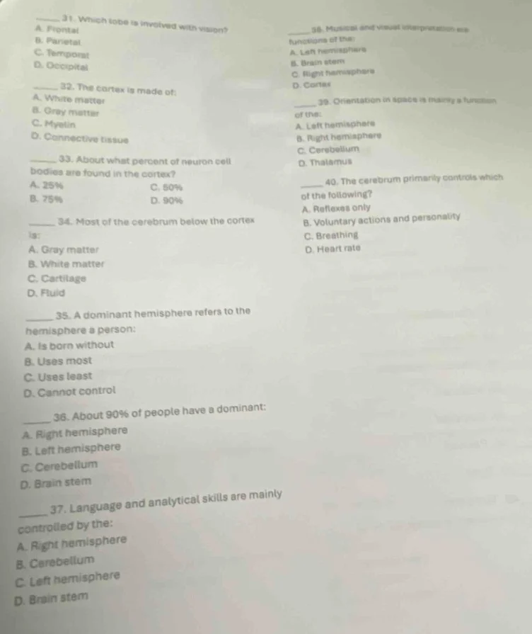 31. which lobe is involved with vision? a. frontal b. parietal c. tempo…