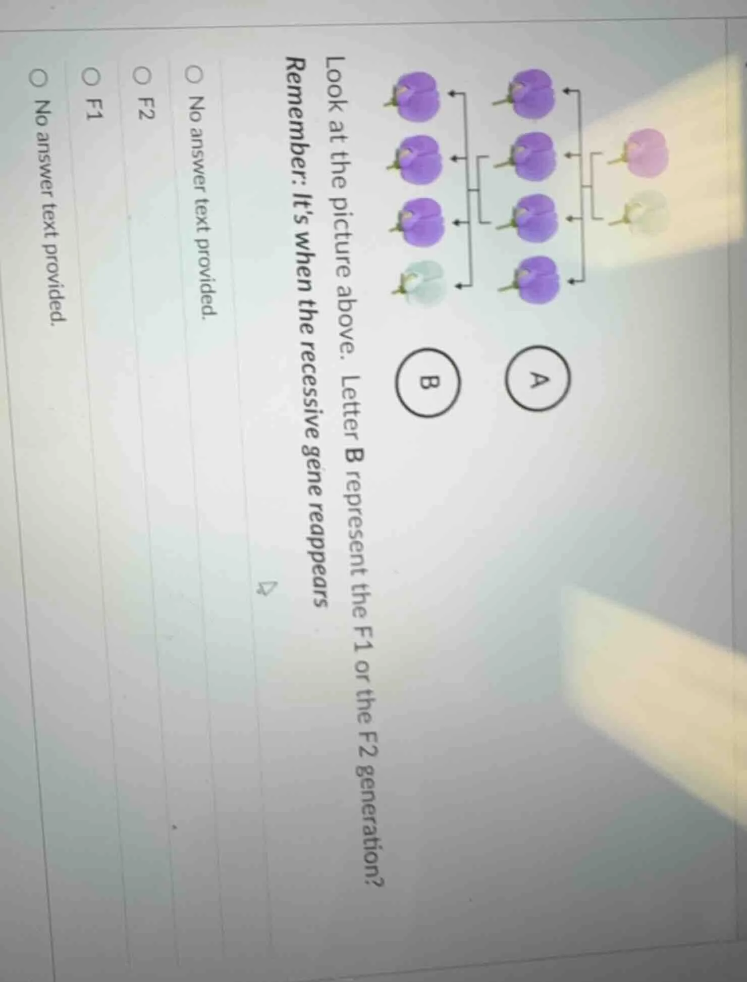 look at the picture above. letter b represent the f1 or the f2 generati…