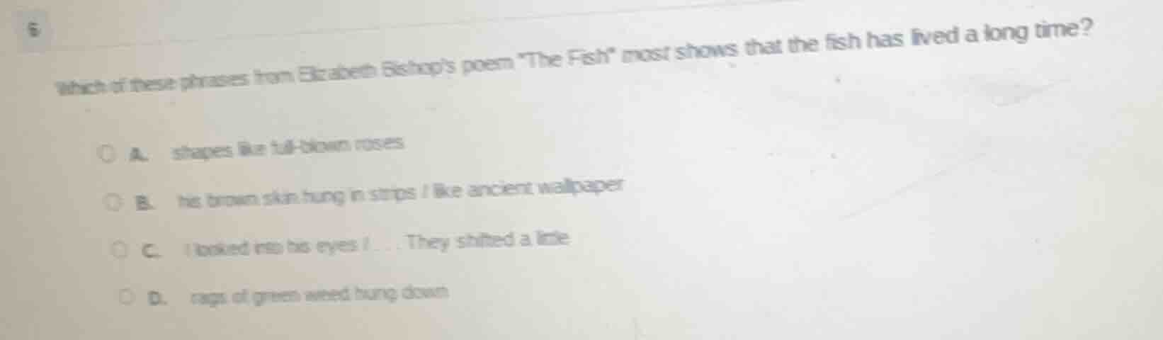 6 which of these phrases from elizabeth bishops poem \the fish\ most sh…