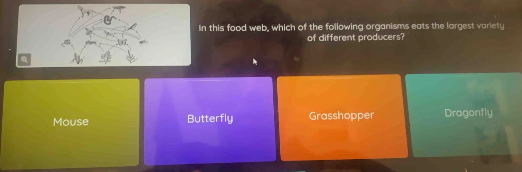 in this food web, which of the following organisms eats the largest var…
