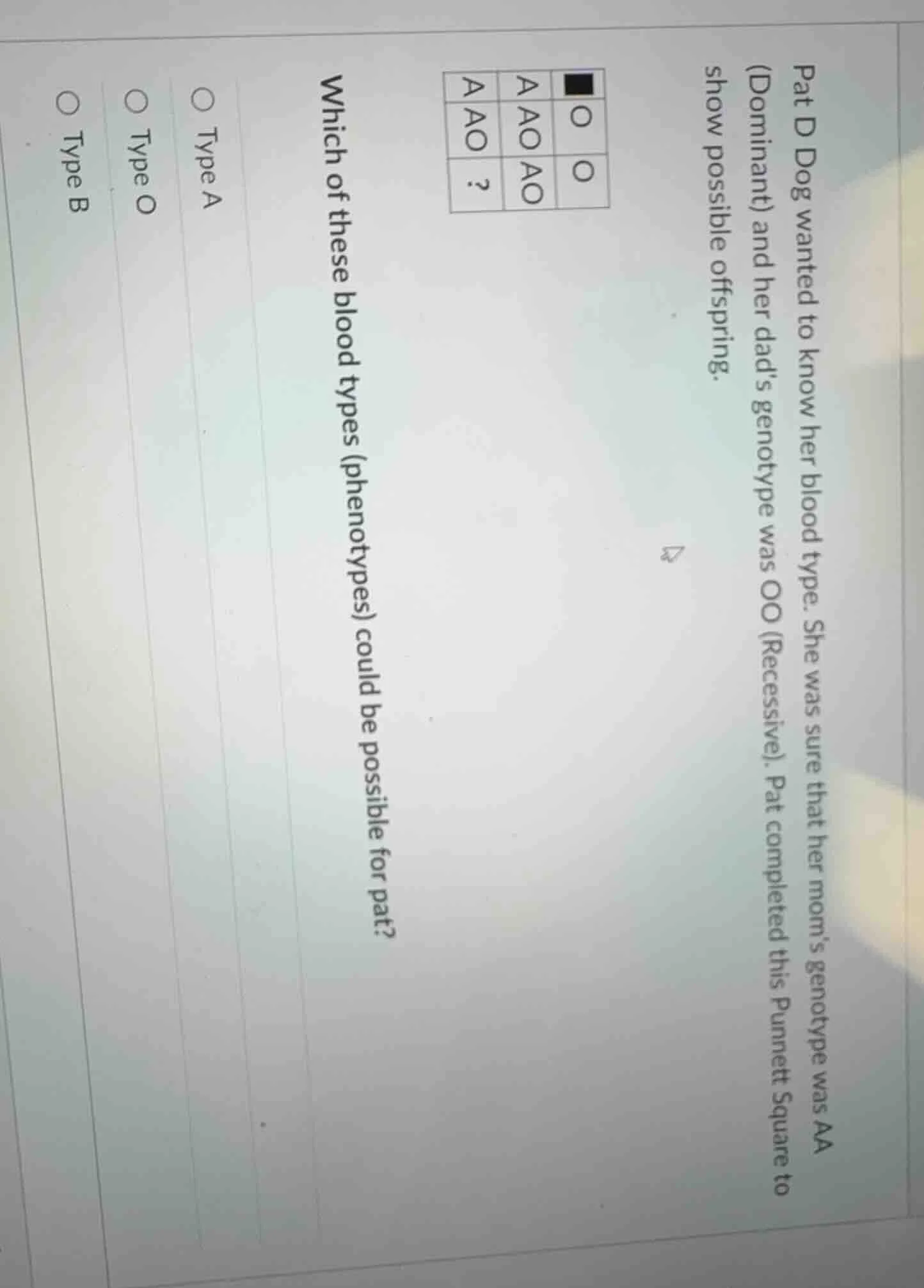 pat d dog wanted to know her blood type. she was sure that her moms gen…