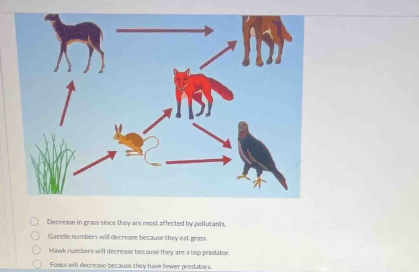 decrease in grass since they are most affected by pollutants. gazelle n…