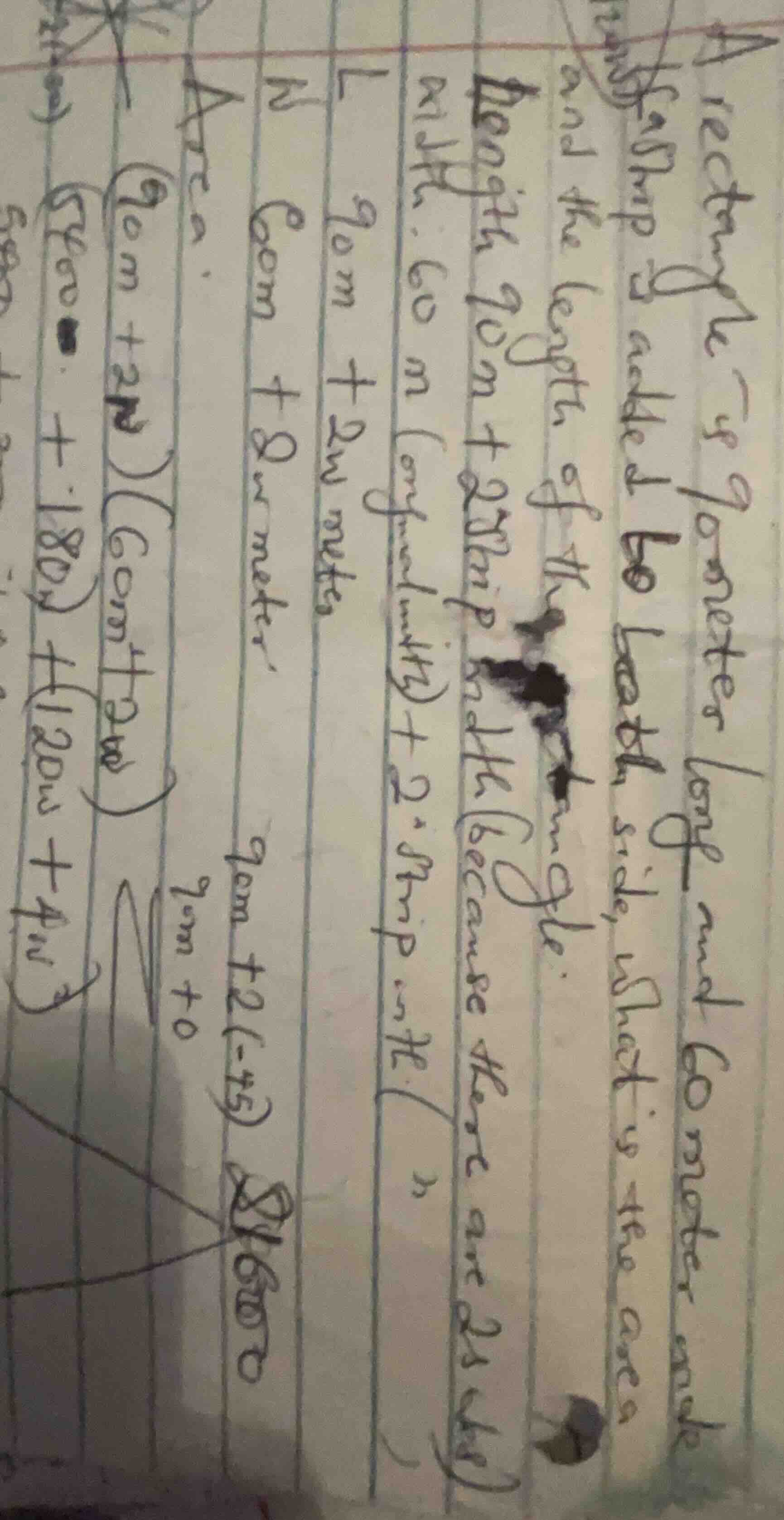 a rectangle is 90 meter long and 60 meter wide. if strip of width 2 is …