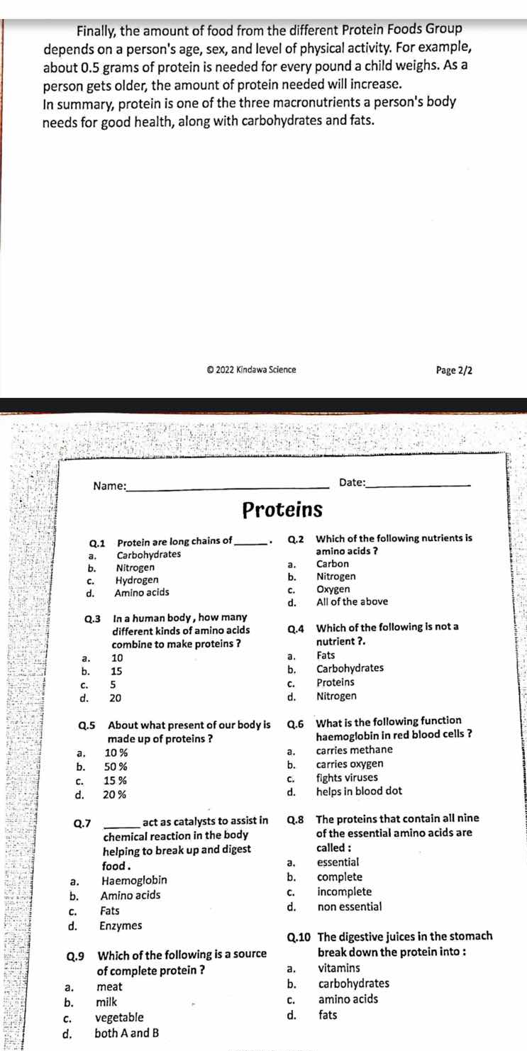 finally, the amount of food from the different protein foods group depe…