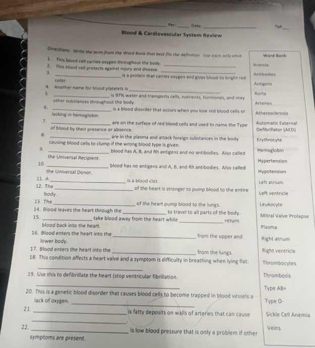 per___ date___ page___ blood & cardiovascular system review directions:…