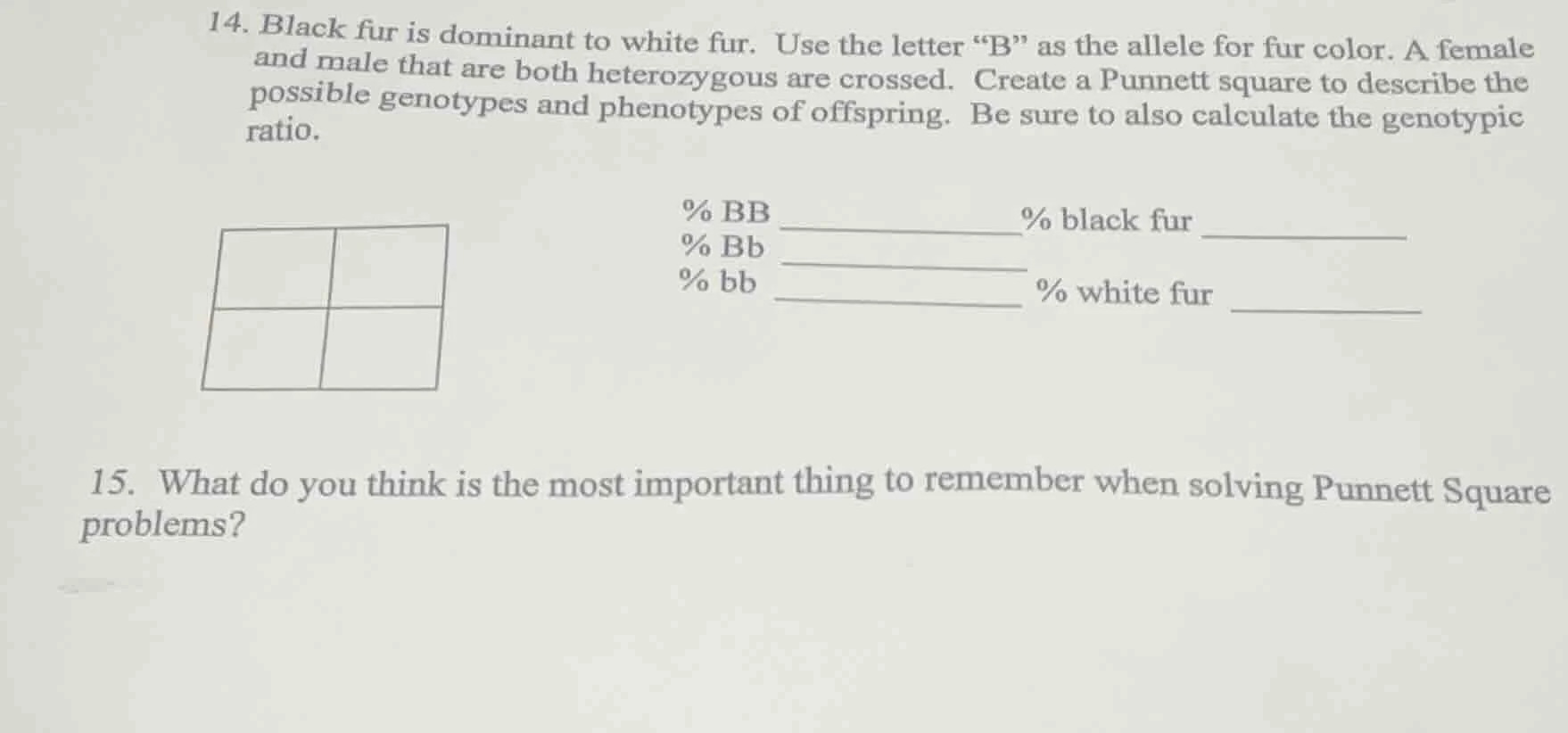 14. black fur is dominant to white fur. use the letter \b\ as the allel…