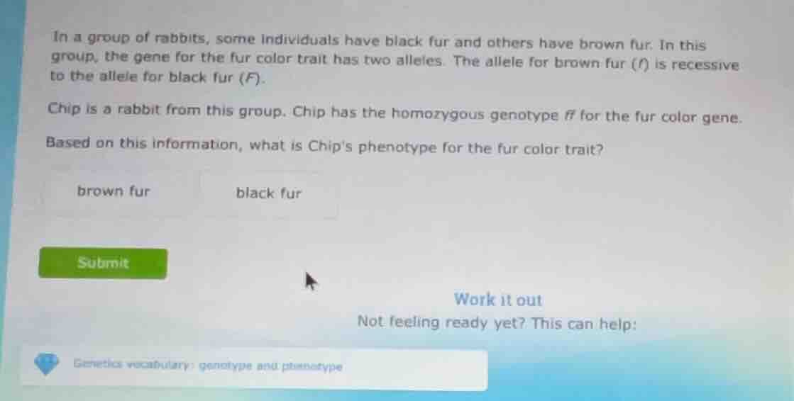 in a group of rabbits, some individuals have black fur and others have …