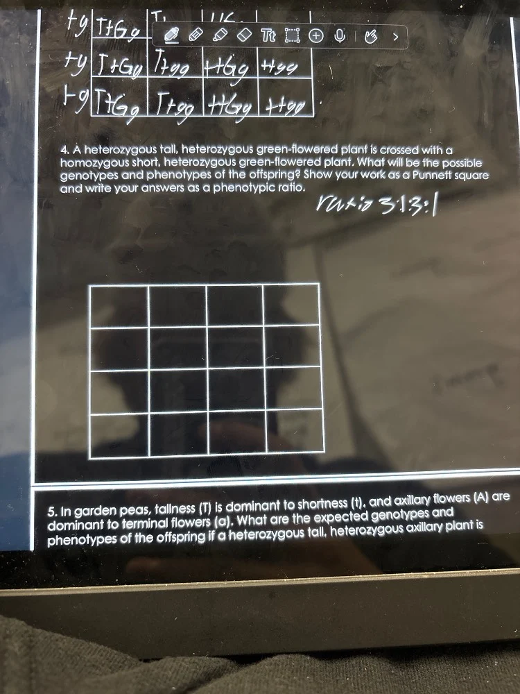 4. a heterozygous tall, heterozygous green-flowered plant is crossed wi…