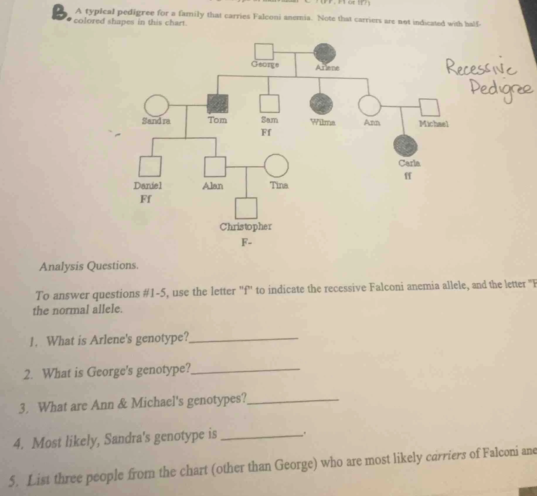 a typical pedigree for a family that carries falconi anemia. note that …