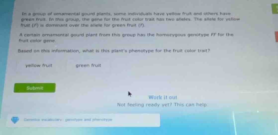 in a group of ornamental gourd plants, some individuals have yellow fru…