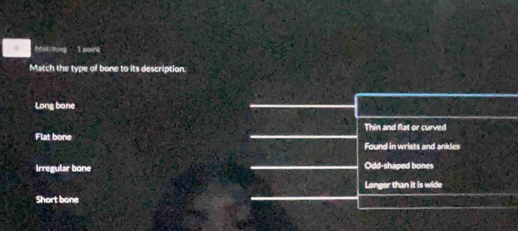 matching 1 point match the type of bone to its description. long bone f…