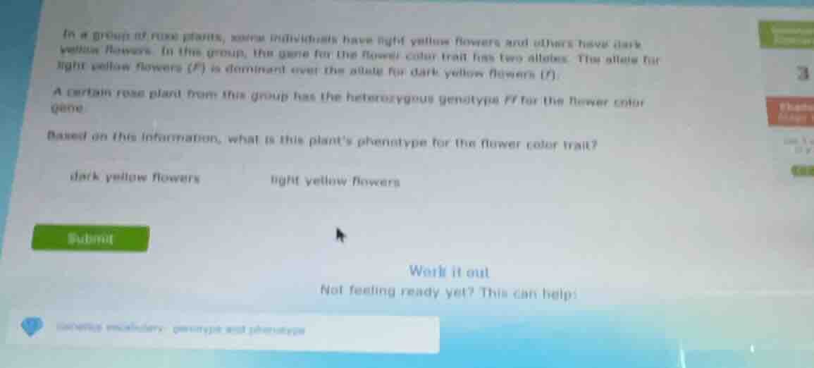 in a group of rose plants, some individuals have light yellow flowers a…