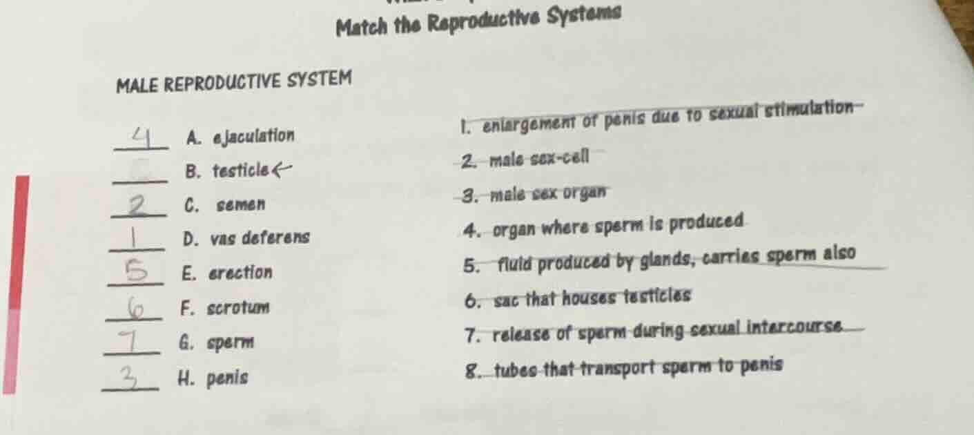 match the reproductive systems male reproductive system a. ejaculation …