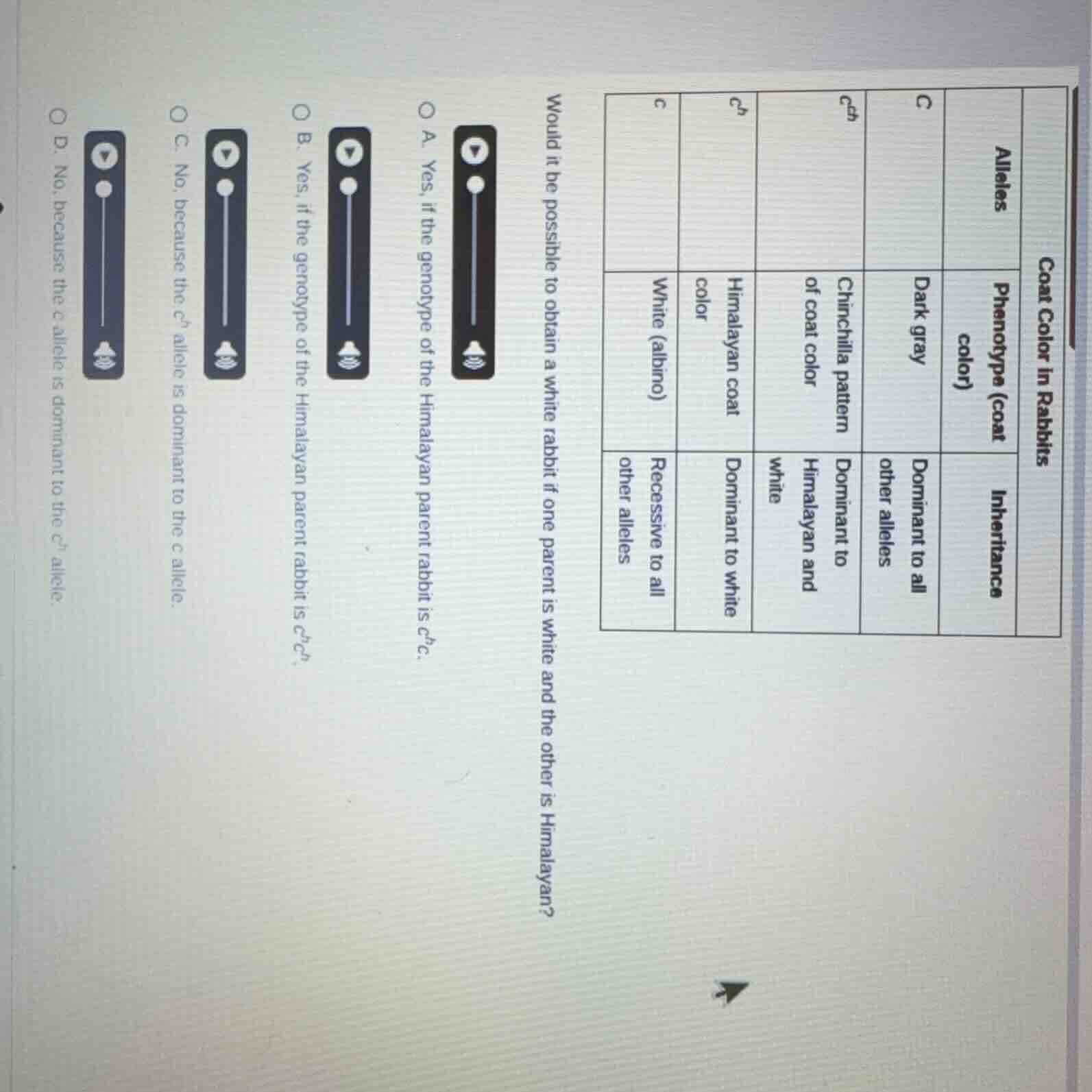 coat color in rabbits|alleles|c|$c^{ch}$|$c^{h}$|c|| ---- | ---- | ----…