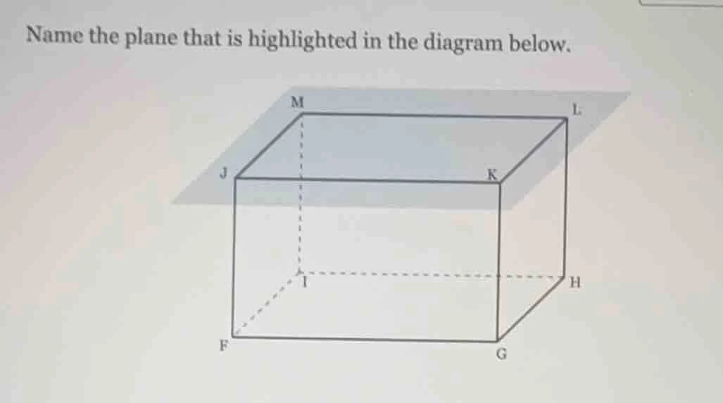 name the plane that is highlighted in the diagram below.
