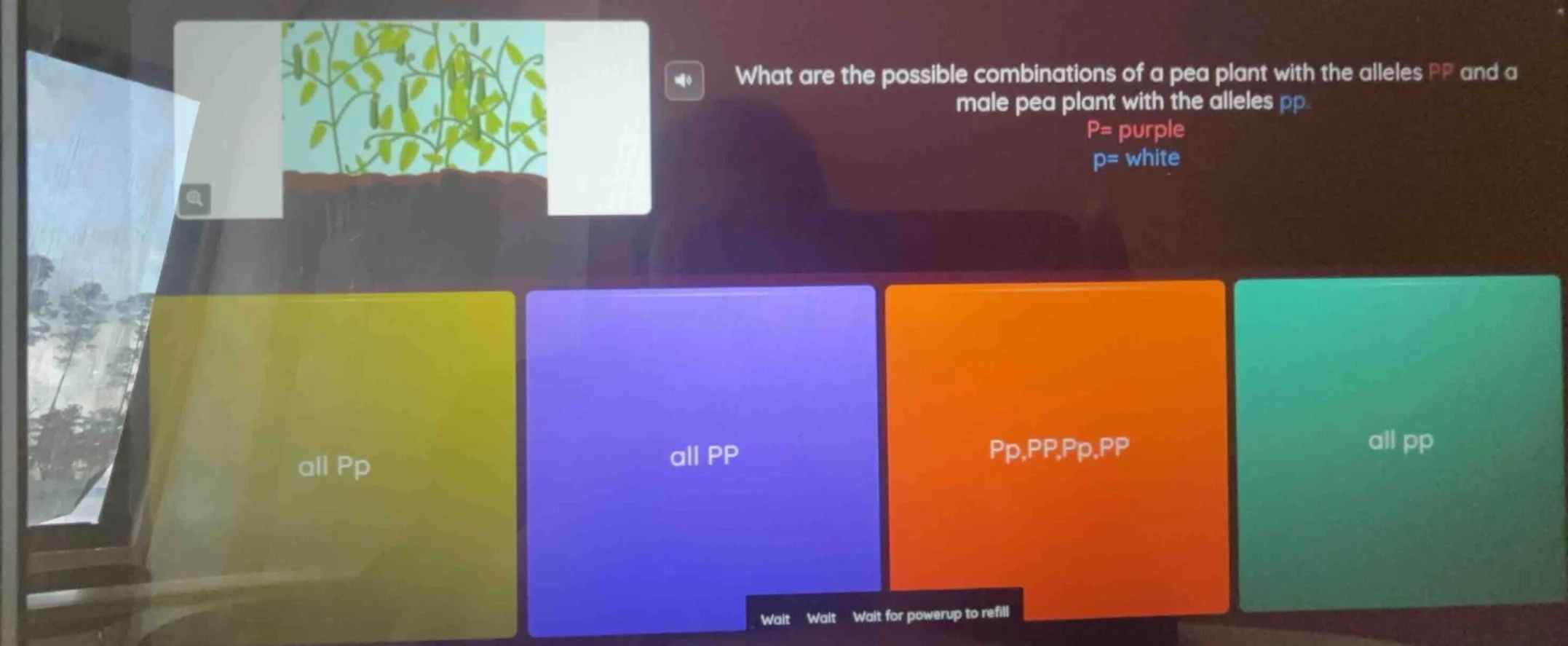what are the possible combinations of a pea plant with the alleles pp a…