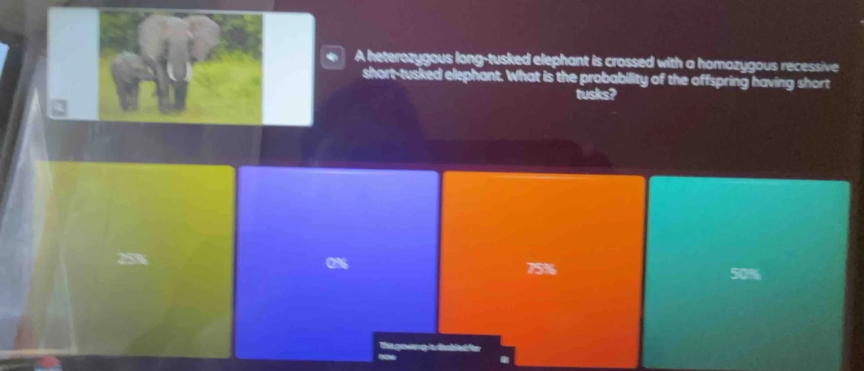 a heterozygous long-tusked elephant is crossed with a homozygous recess…