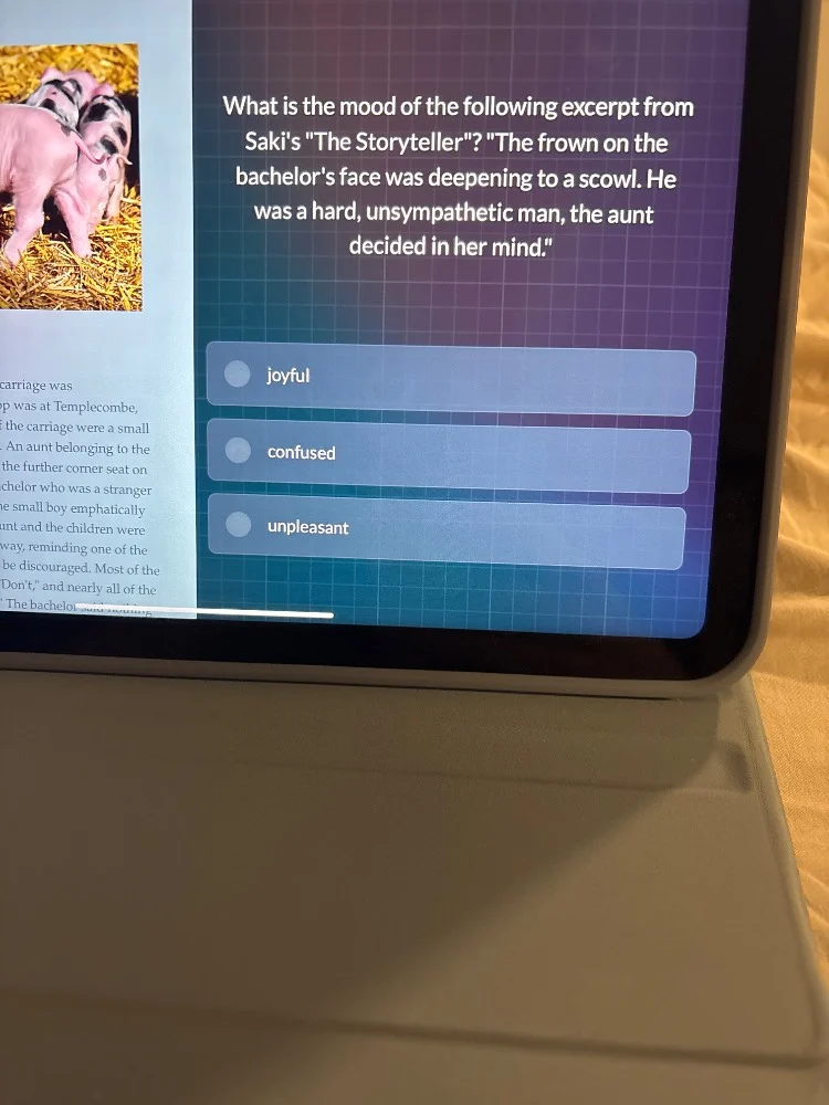 what is the mood of the following excerpt from sakis \the storyteller\?…