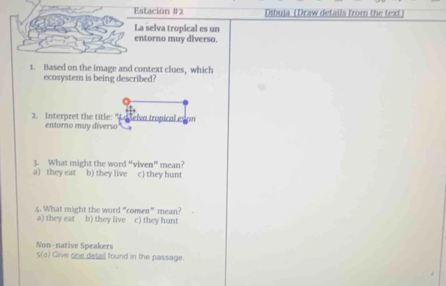 estación #2 dibuja (draw details from the text) la selva tropical es un…