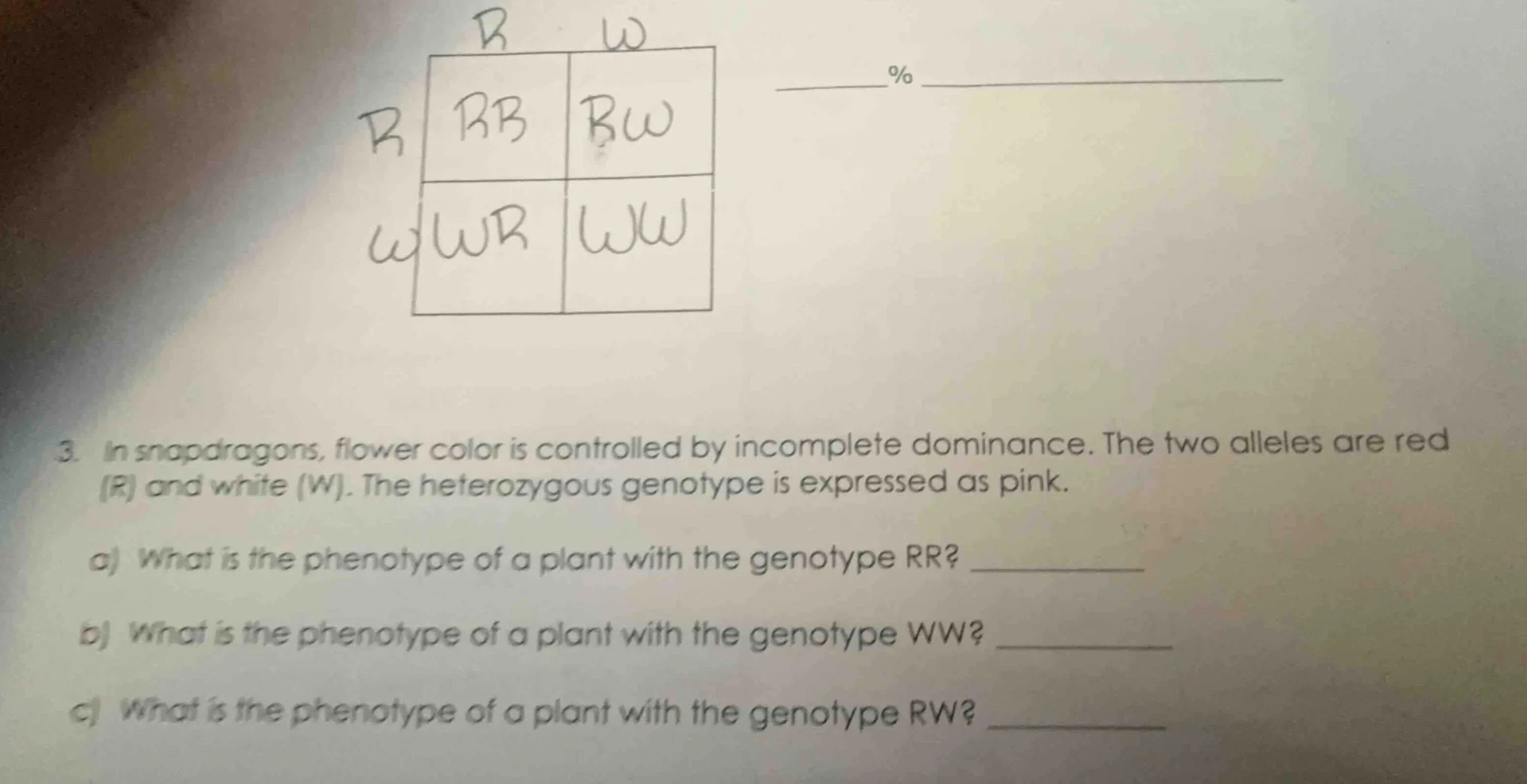 3. in snapdragons, flower color is controlled by incomplete dominance. …