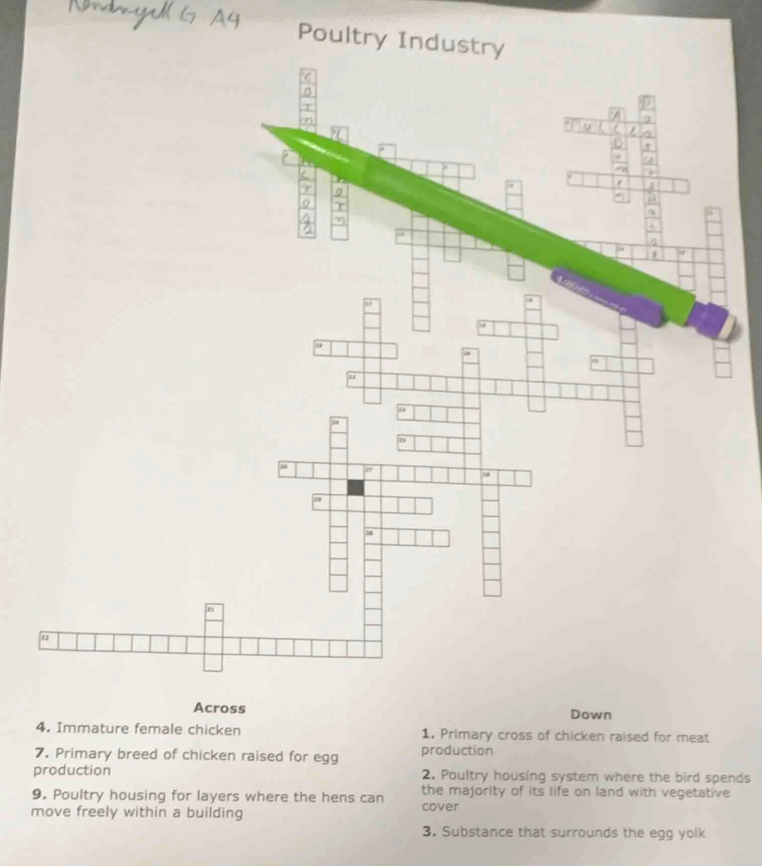 poultry industry across 4. immature female chicken 7. primary breed of …