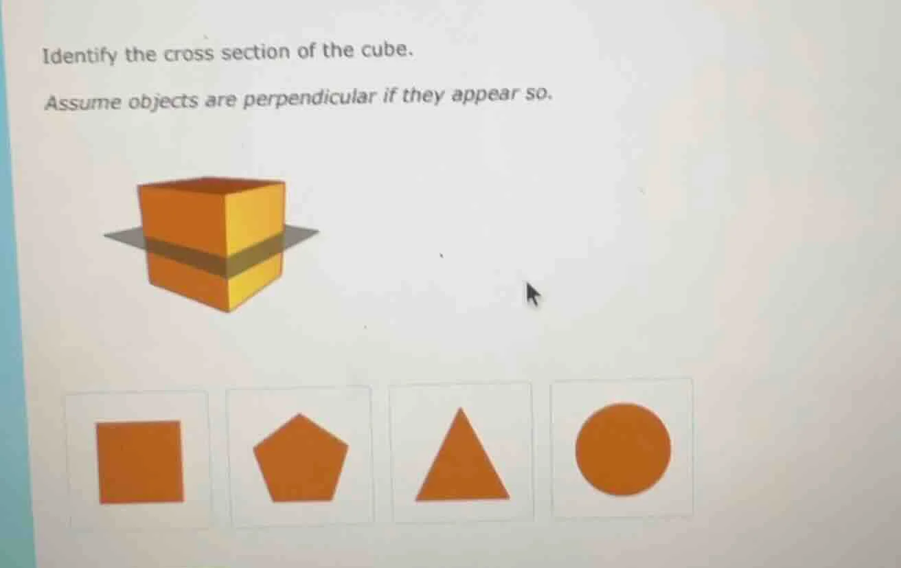 identify the cross section of the cube. assume objects are perpendicula…