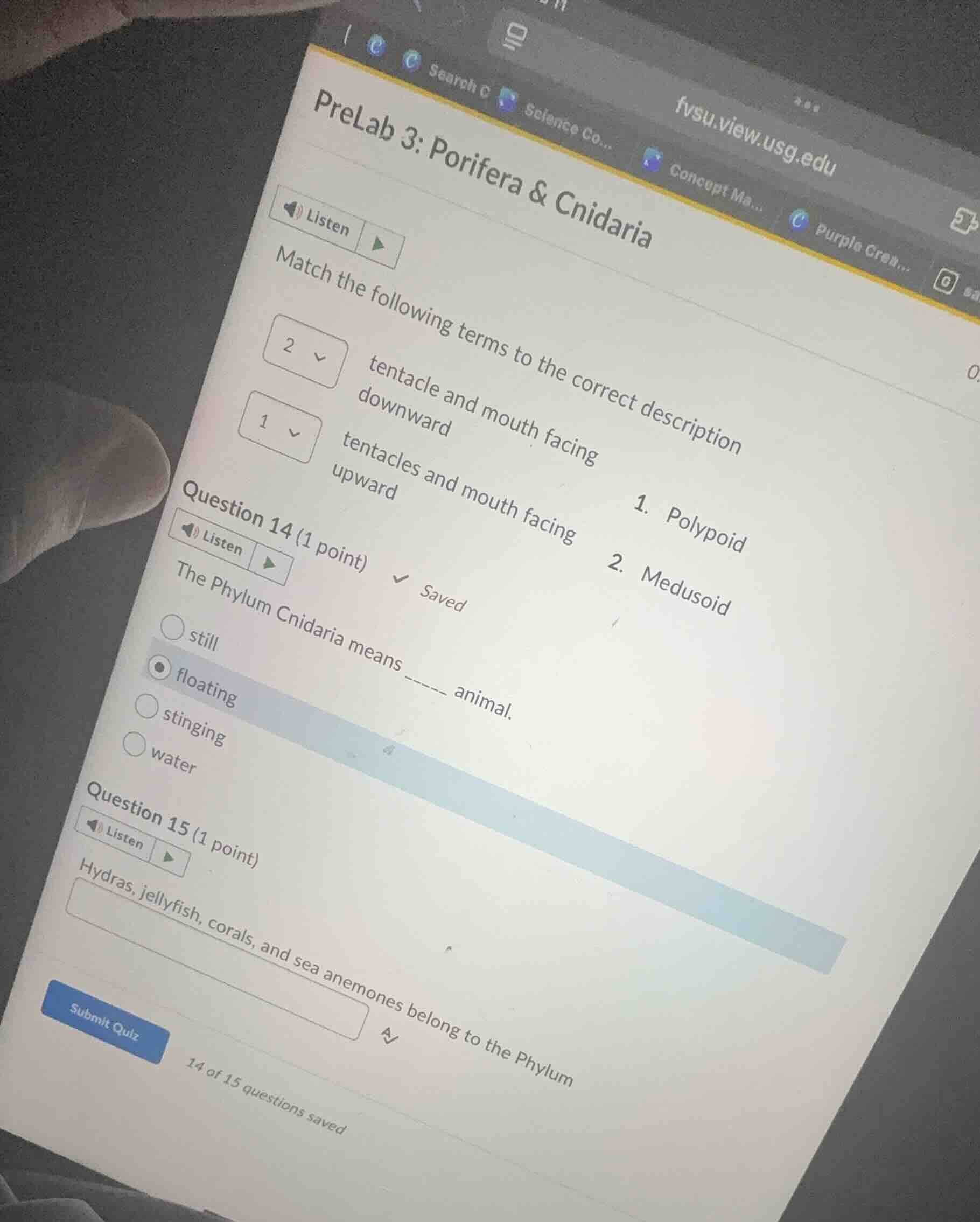 prelab 3: porifera & cnidarialistenmatch the following terms to the cor…