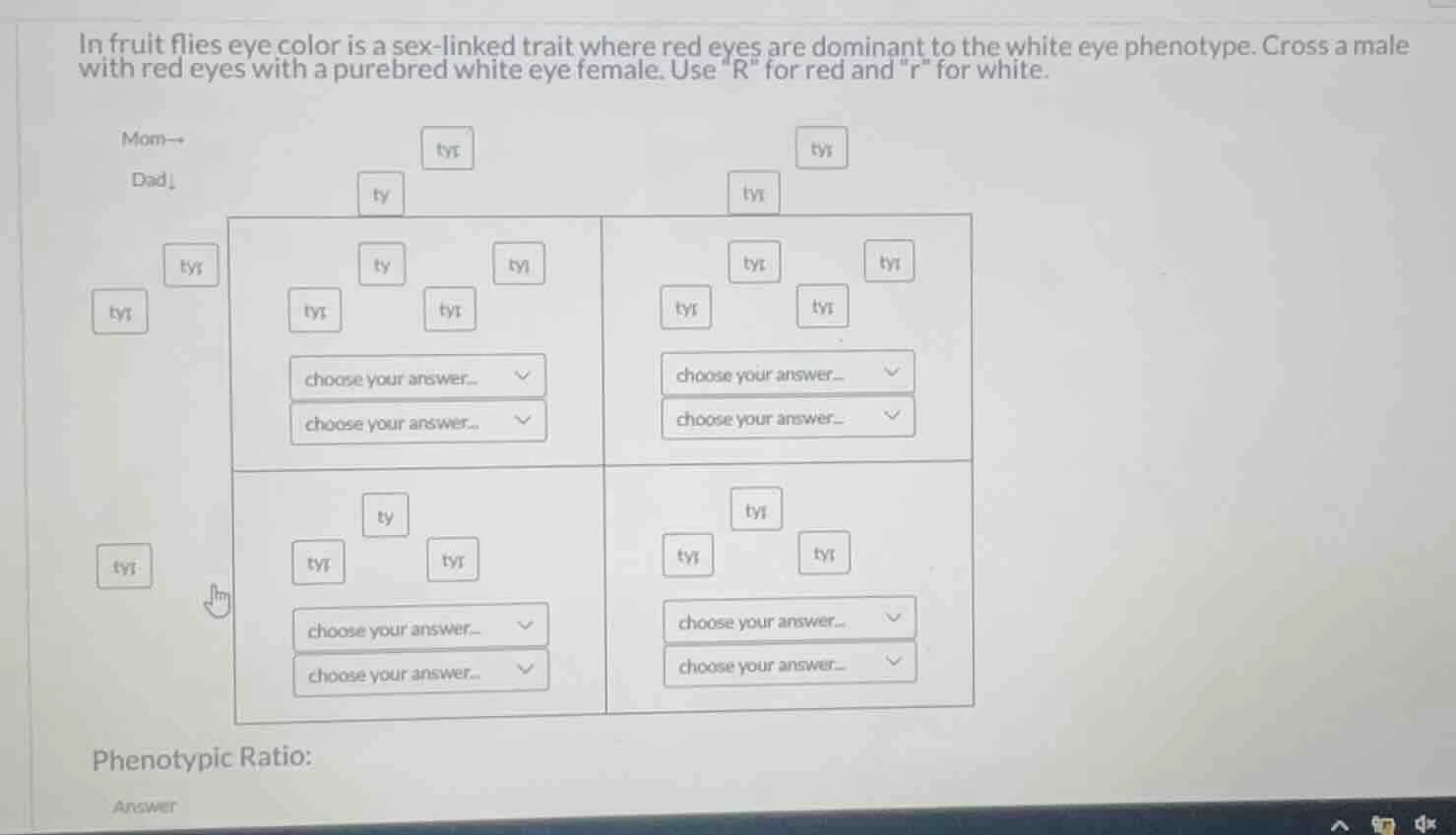 in fruit flies eye color is a sex-linked trait where red eyes are domin…