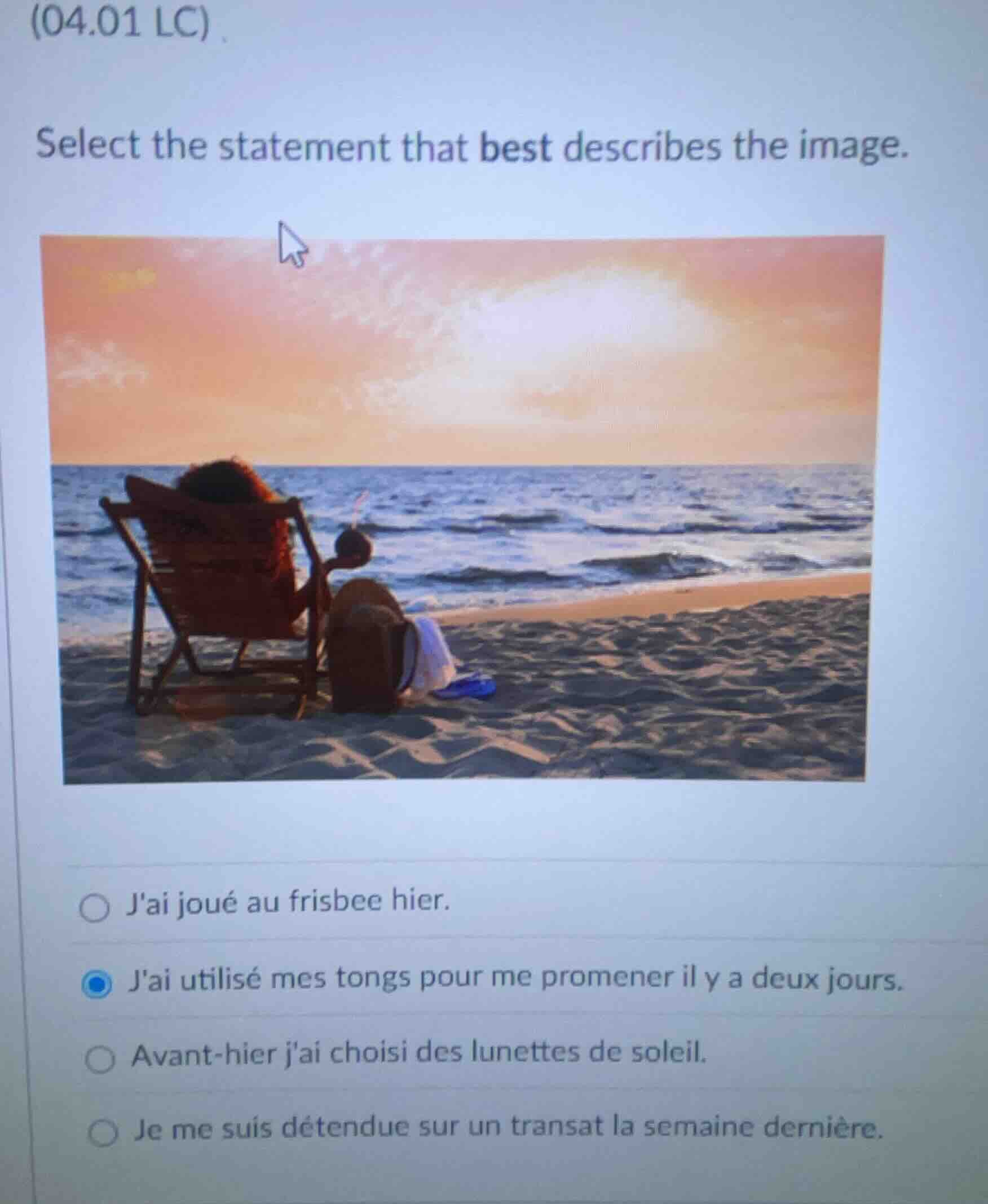 (04.01 lc) select the statement that best describes the image. jai joué…