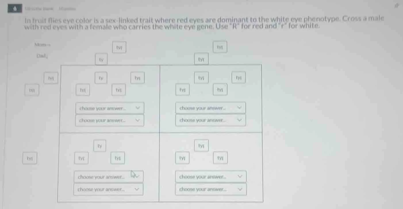 in fruit flies eye color is a sex-linked trait where red eyes are domin…