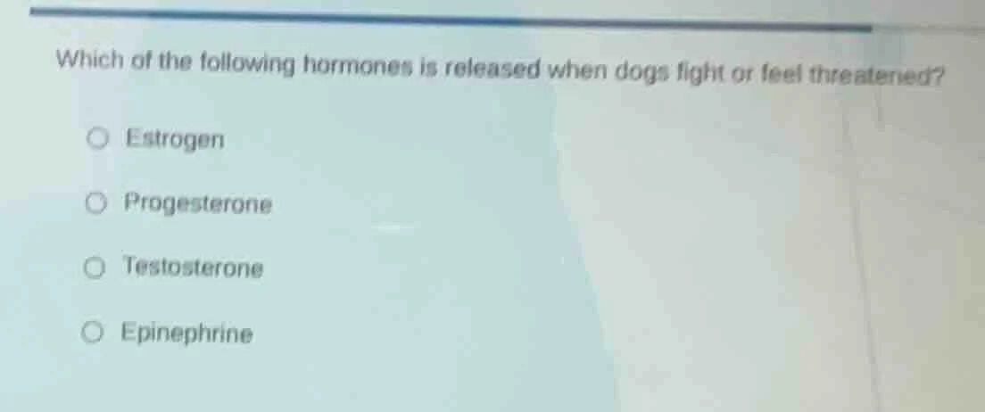 which of the following hormones is released when dogs fight or feel thr…