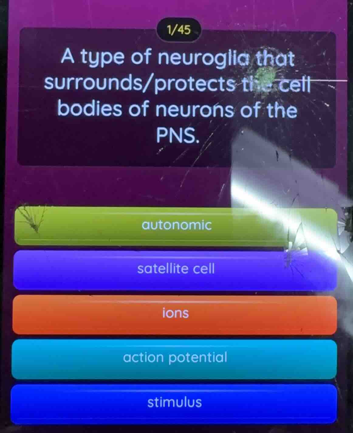 1/45 a type of neuroglia that surrounds/protects the cell bodies of neu…