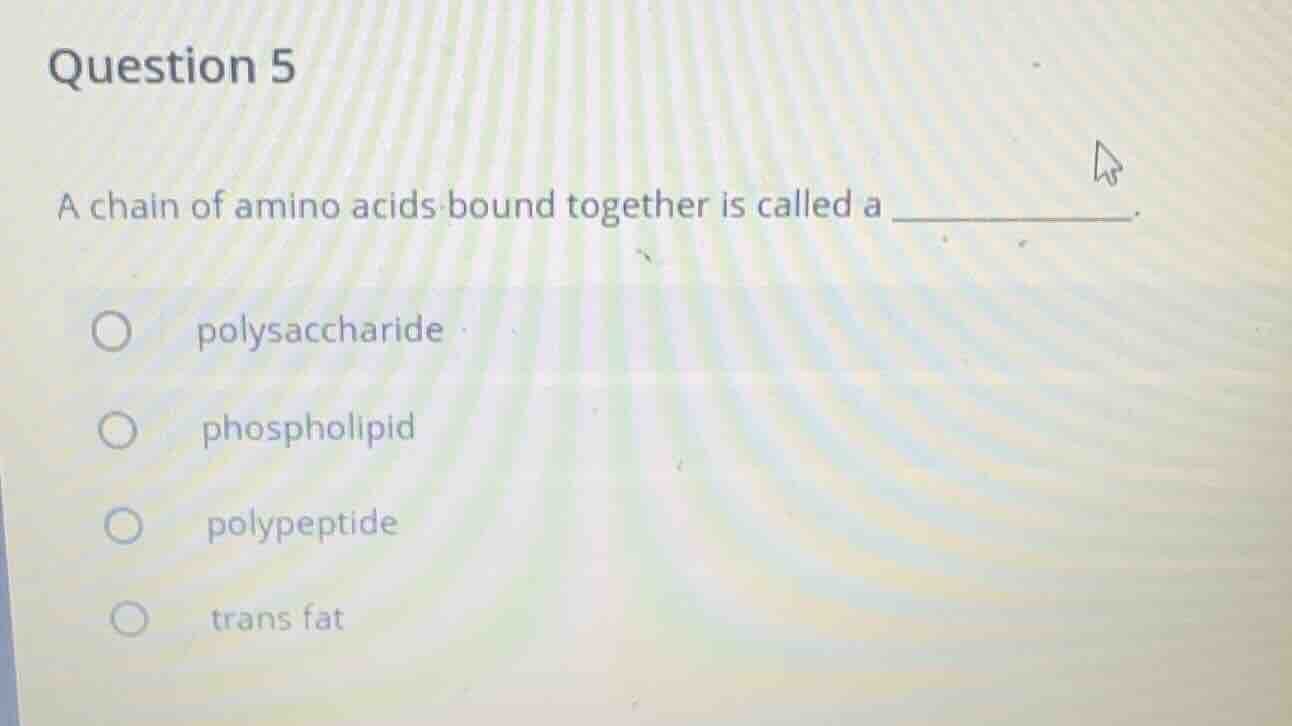 question 5 a chain of amino acids bound together is called a ______. po…