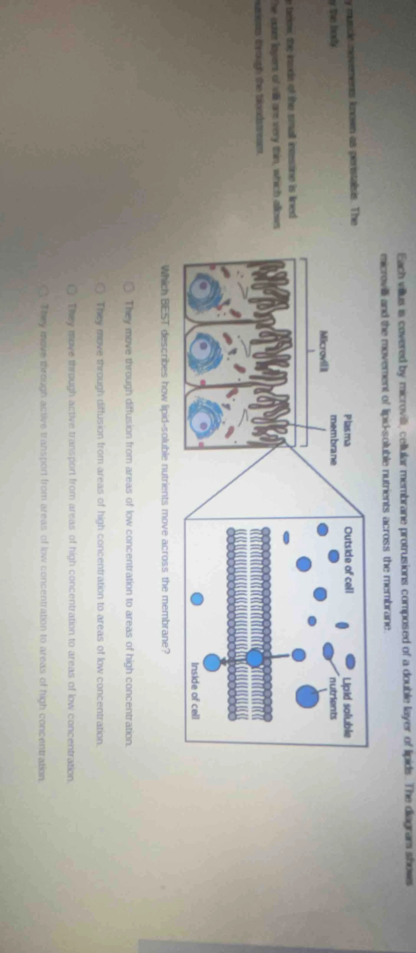 y muscle movements known as peristalsis. the the body lining, the insid…