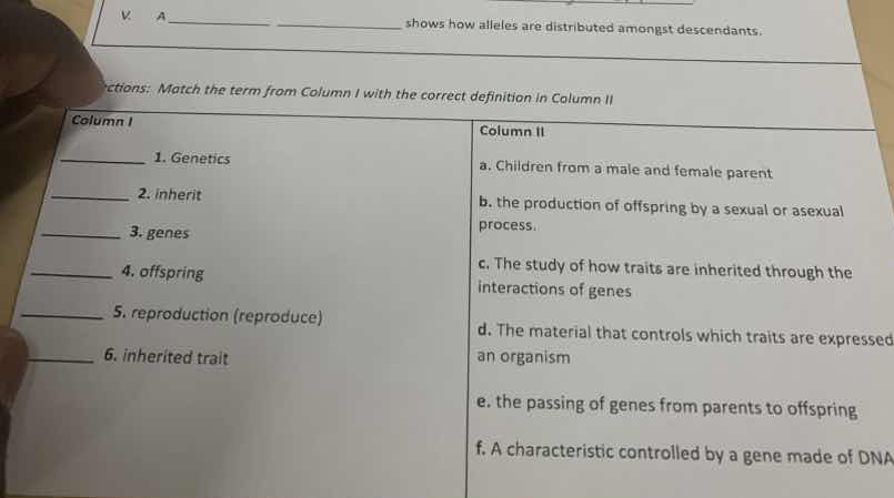 v. a ________ ________ shows how alleles are distributed amongst descen…