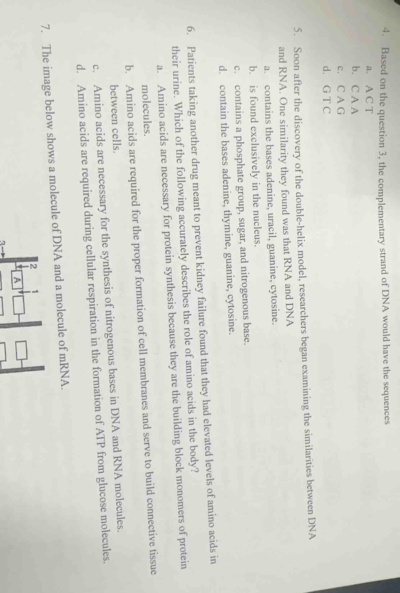 4. based on the question 3, the complementary strand of dna would have …