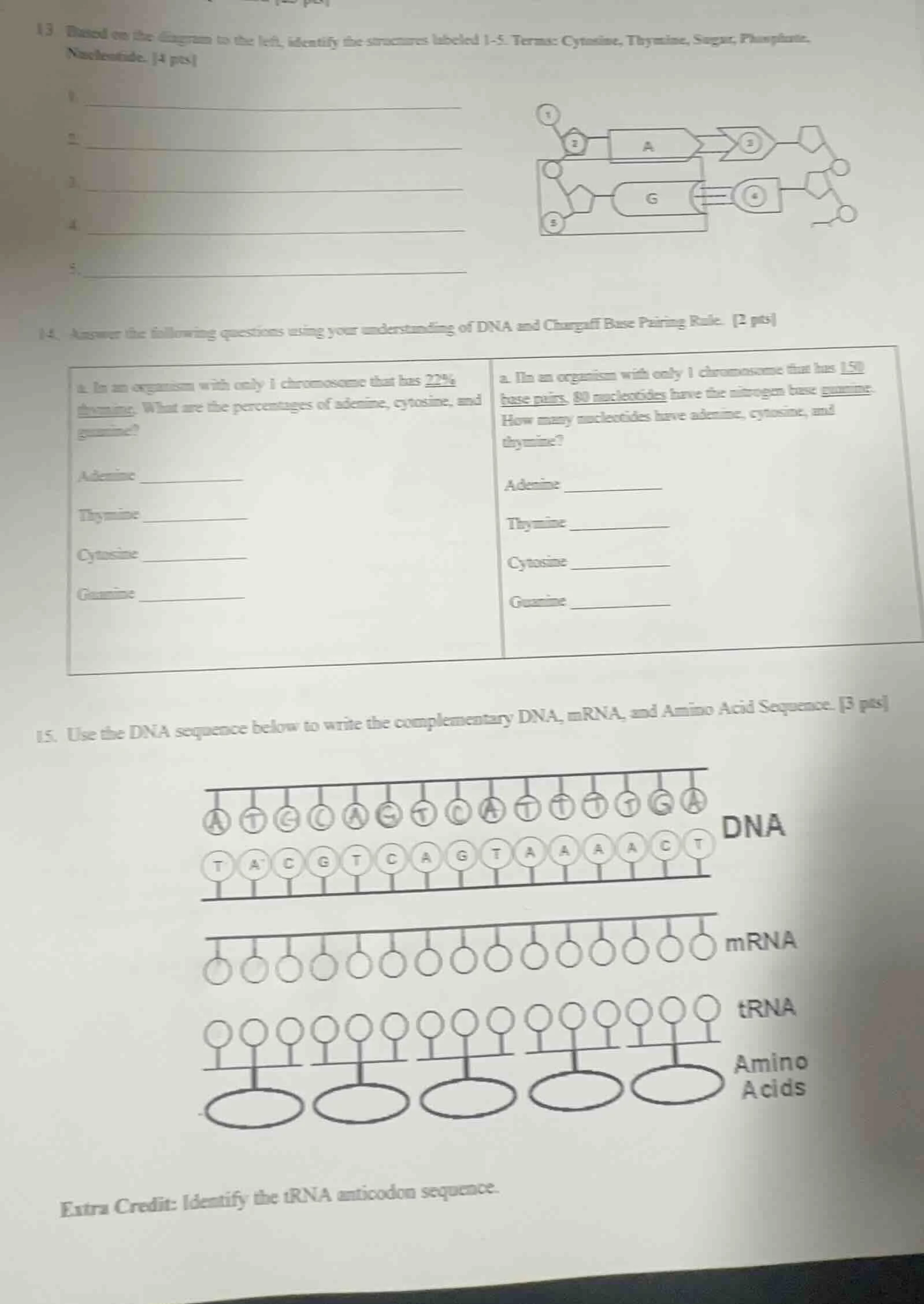 13. based on the diagram to the left, identify the structures labeled 1…