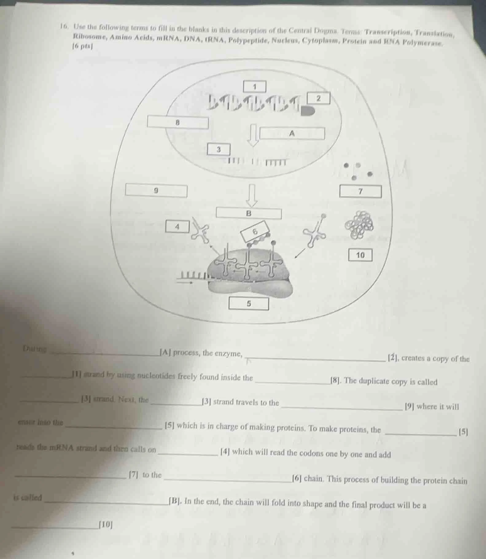 16. use the following terms to fill in the blanks in this description o…