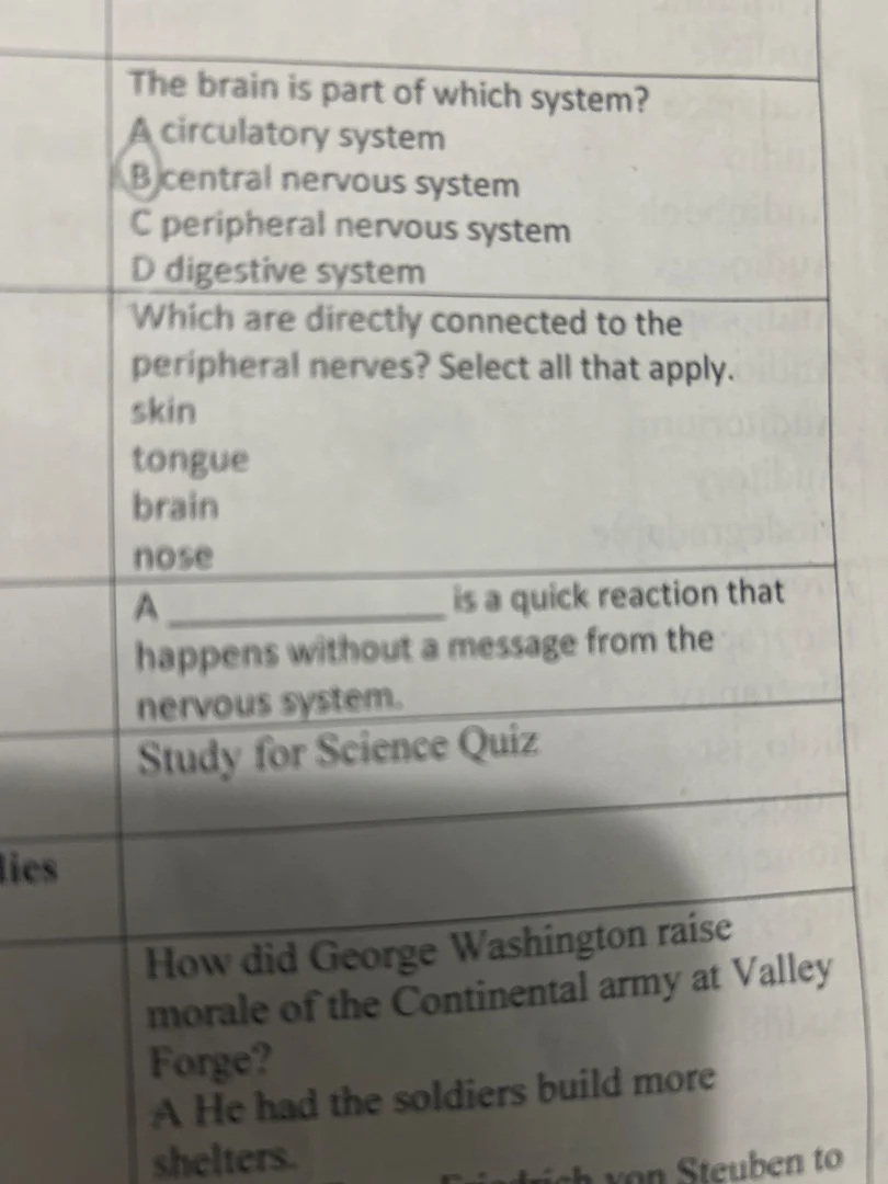 the brain is part of which system? a circulatory system b central nervo…